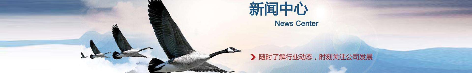 新聞動態